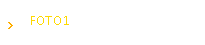 FOTO1